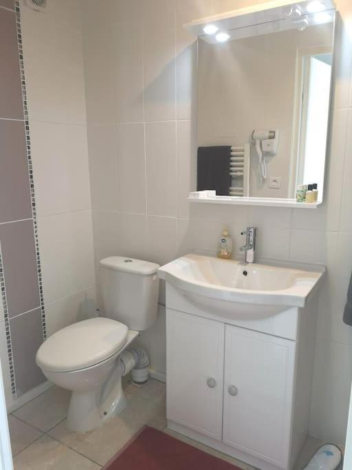 Le Studio Charmant A 20Min De Paris Villennes-sur-Seine Dış mekan fotoğraf